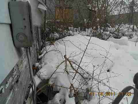 7485 American (5)_m.jpg